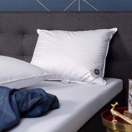 kussens dekbed discounter