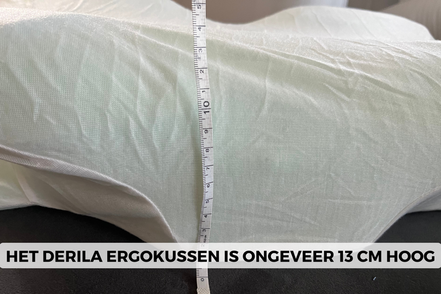 Derila Ergo kussen