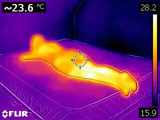 slaapklimaat weltbett matras