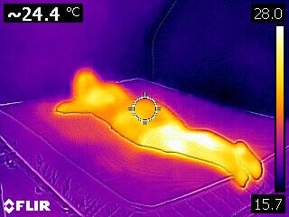 slaapklimaat weltbett matras