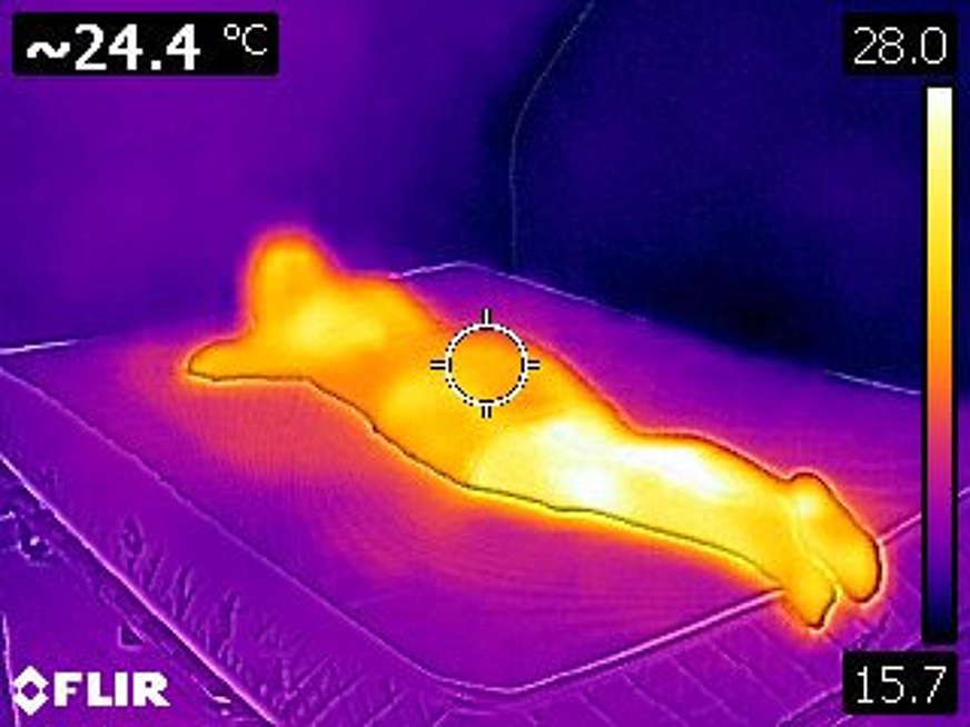 slaapklimaat weltbett matras