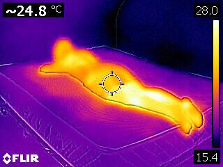 slaapklimaat weltbett matras