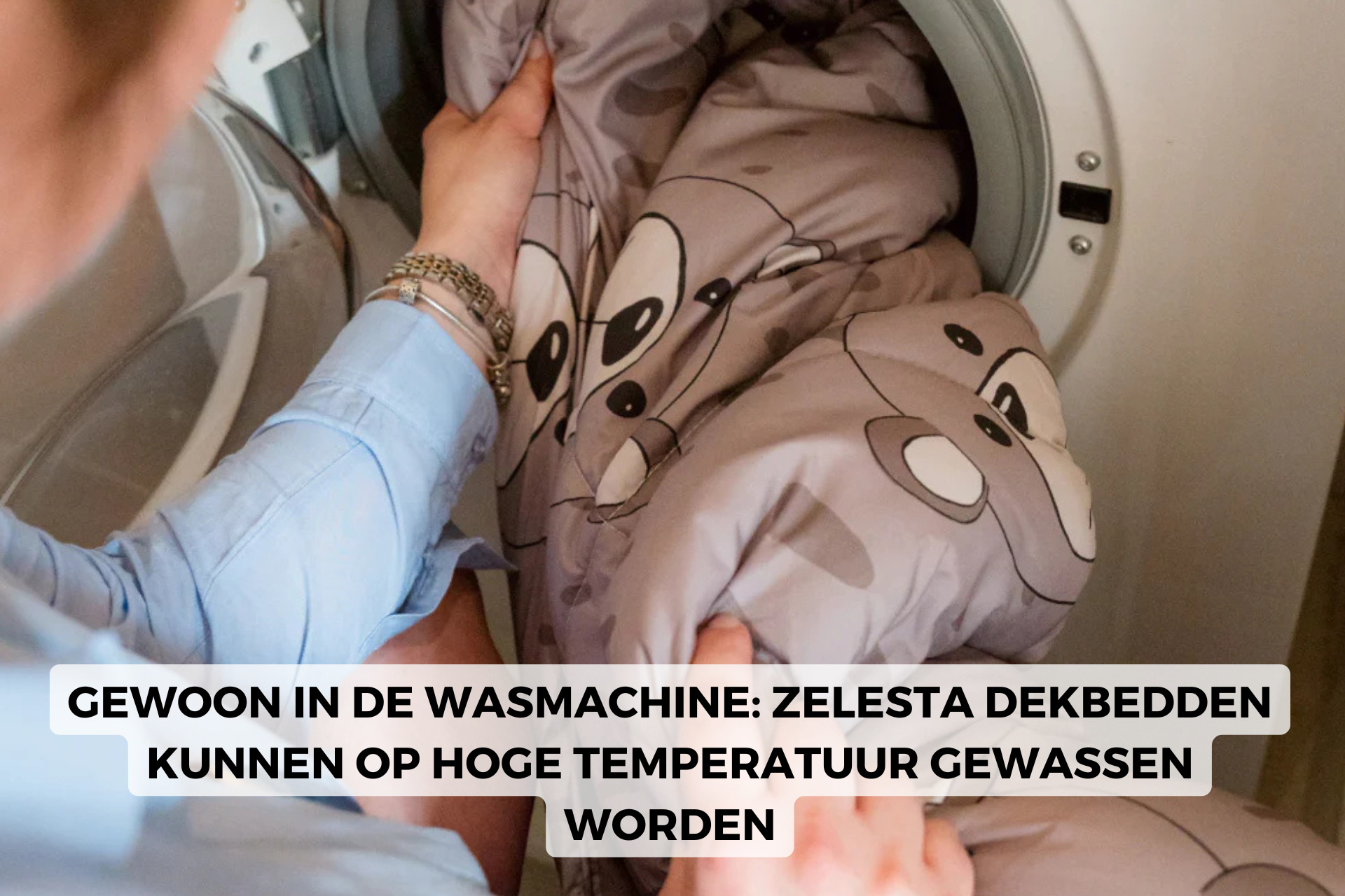 zelesta dekbed wassen