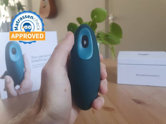 Moonbird Review