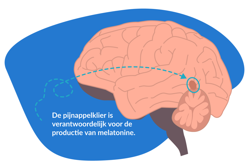 melatonine
