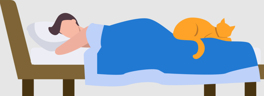 matrasbeschermer: goede keuze bij huisdieren