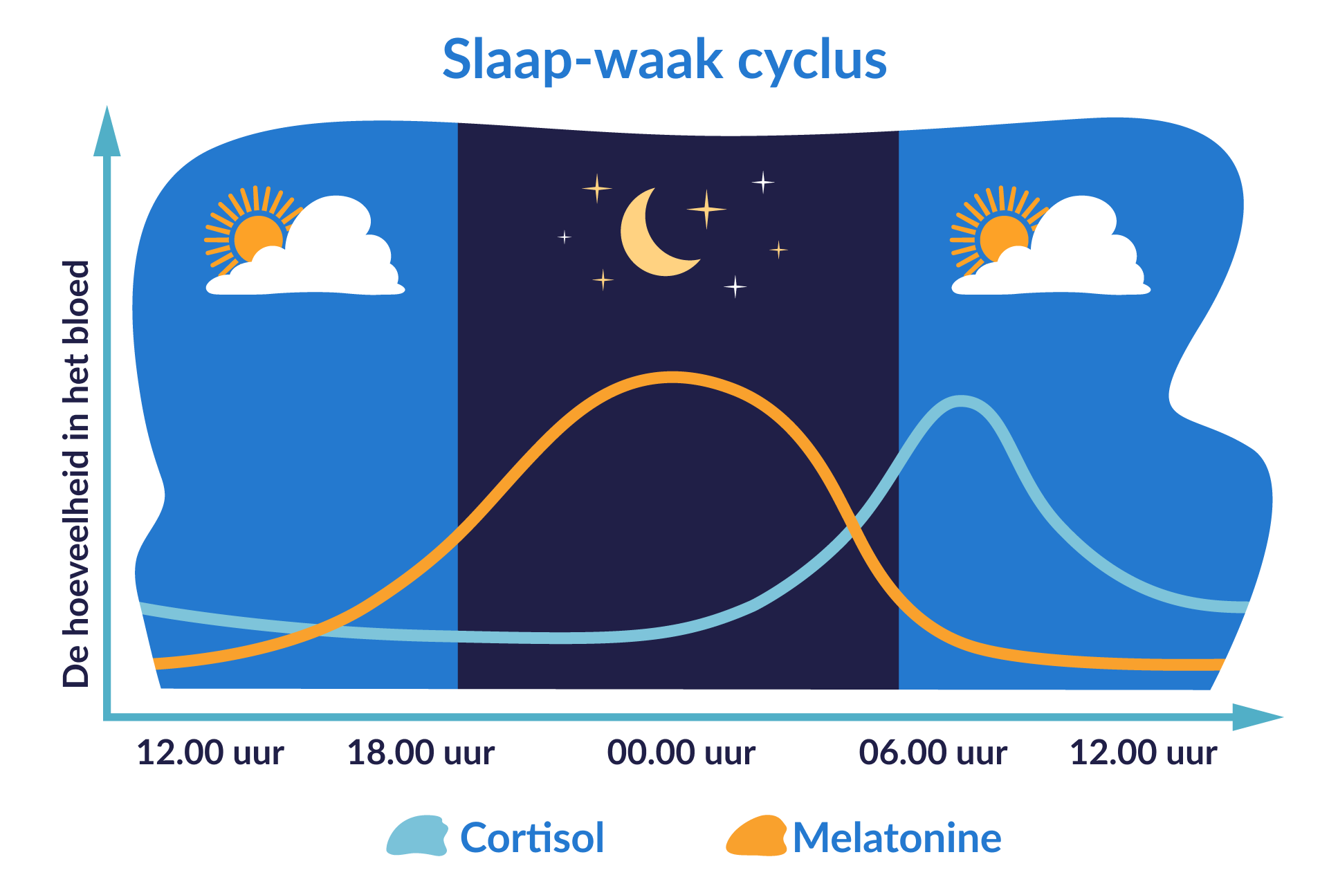Cortisol en melatonine tijdens slaapcyclus