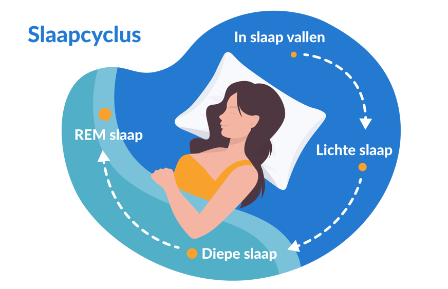 de slaapcyclus is belangrijk voor de optimale slaaptijd